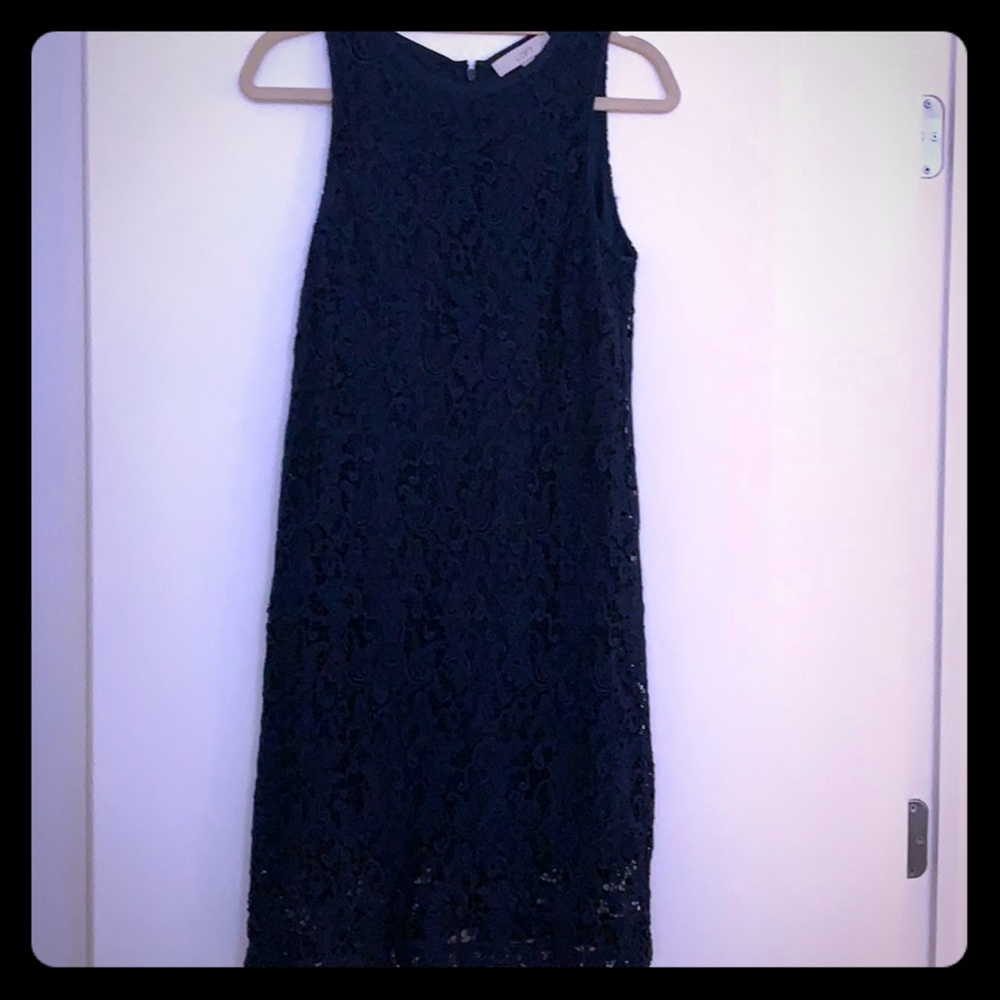Loft navy lace shift dress